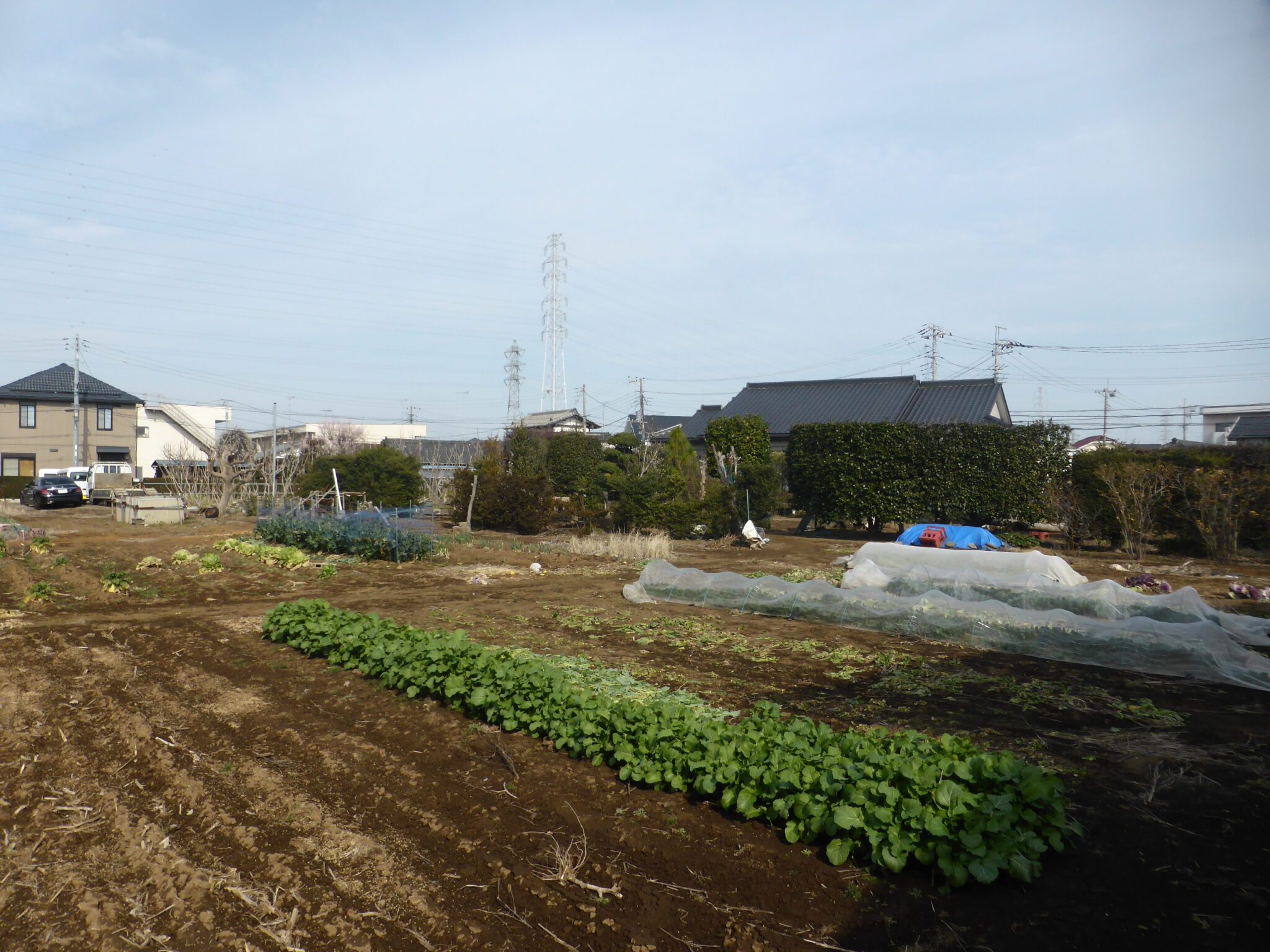 千葉市若葉区貝塚